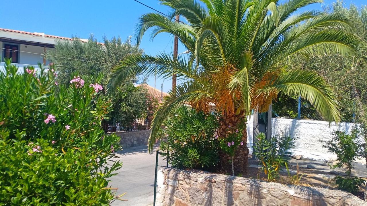 Aparthotel Anessis Cosmos Anaxos Exteriér fotografie